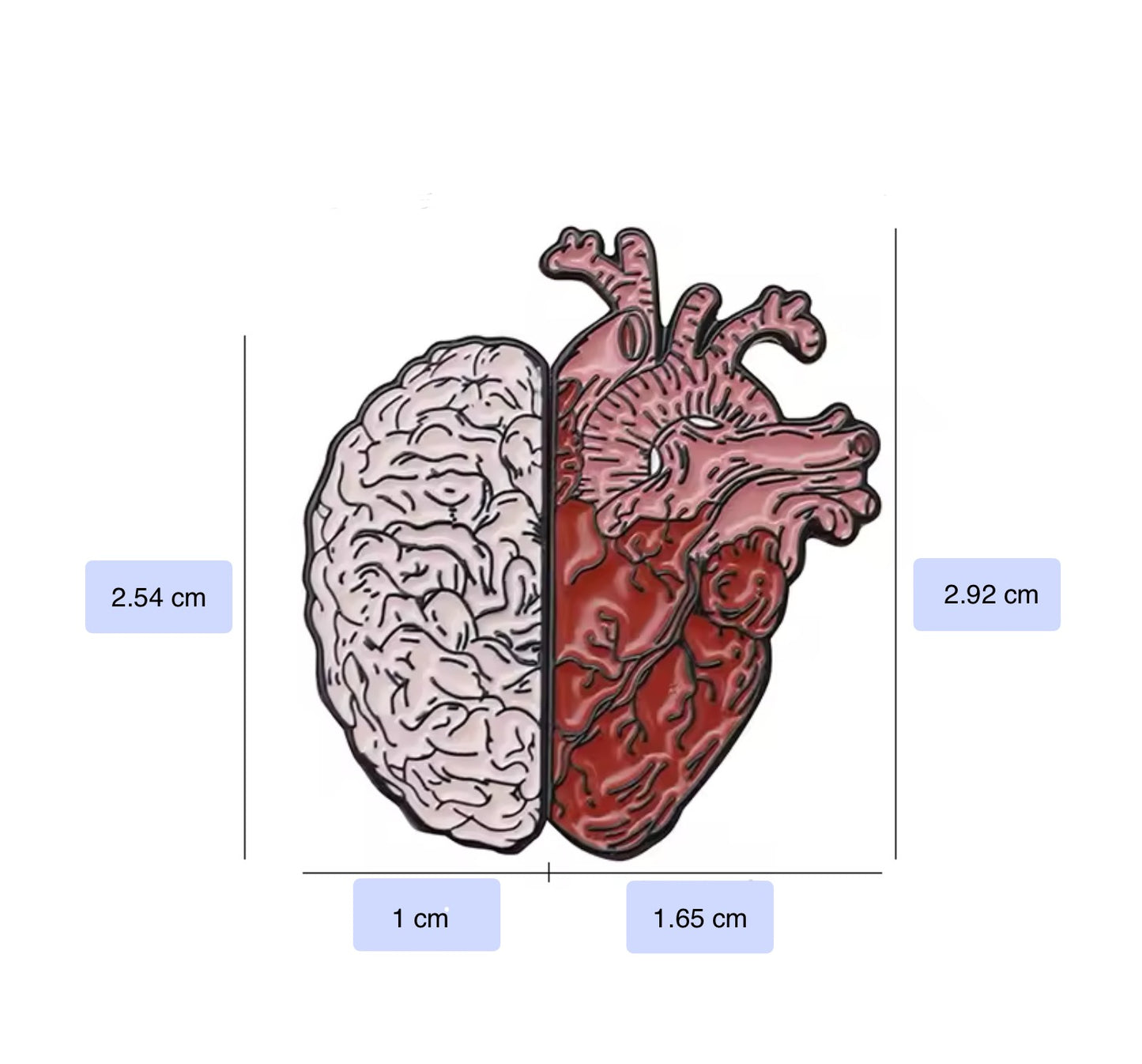 Corazón y cerebro, el equilibrio perfecto